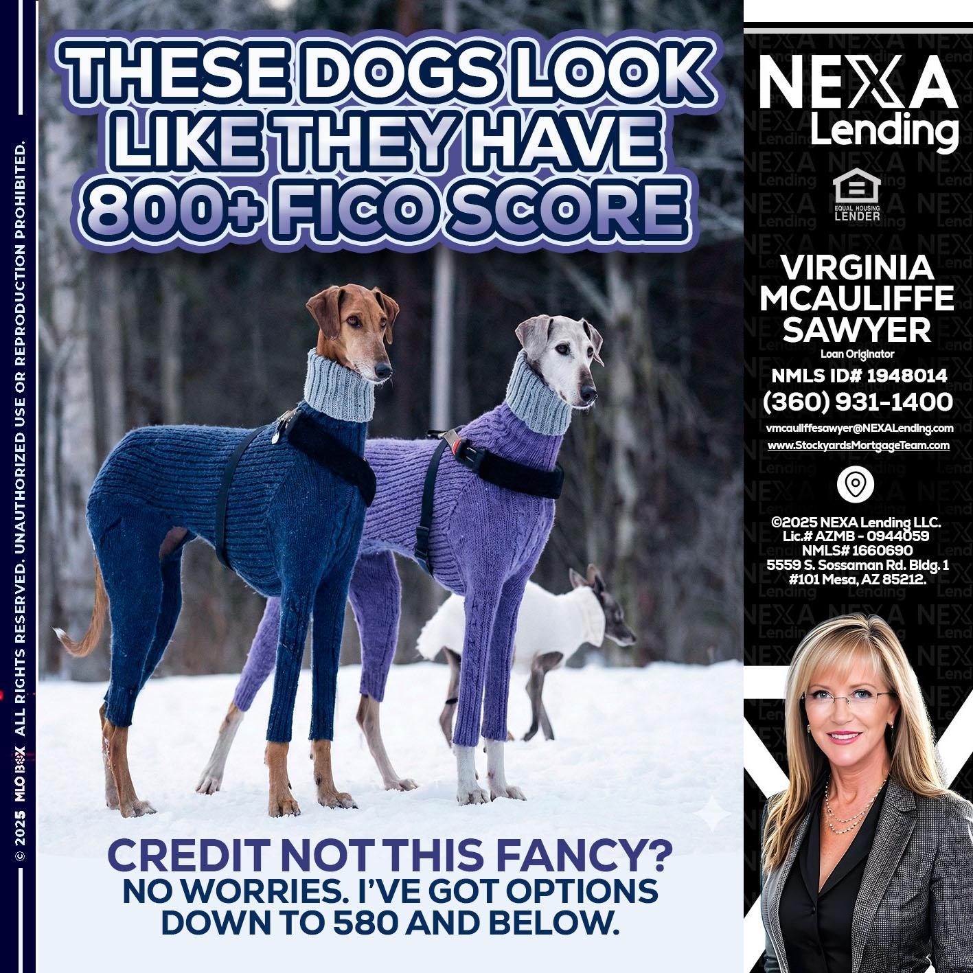 THESE DOGS LOOK - Virginia McAuliffe Sawyer -Mortgage Loan Originator